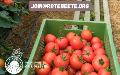 Freie Plätze bei der Gemüsekooperative Rote Beete eG